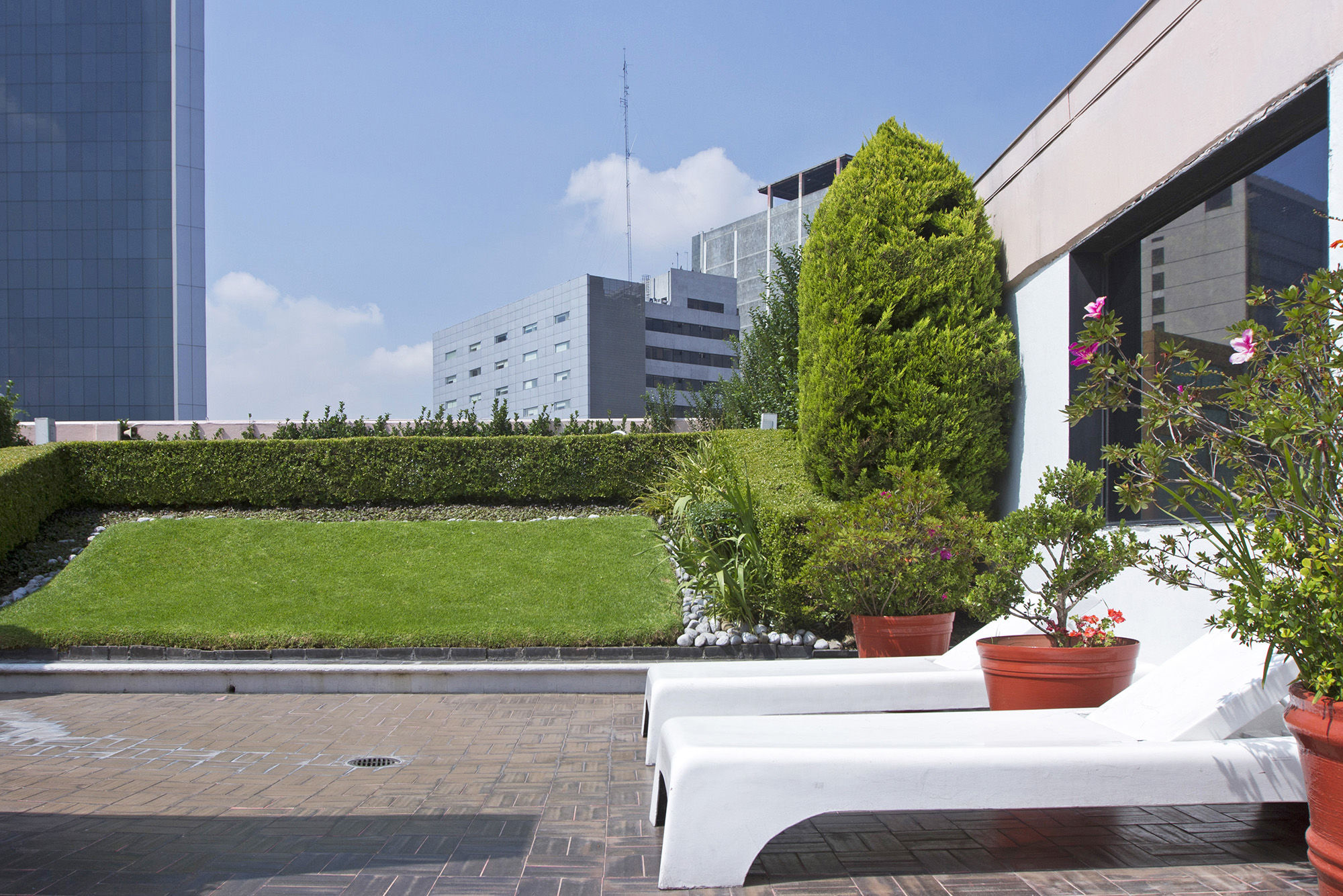 Corinto Hotel Mexico City Exteriör bild